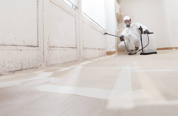 24/7 Emergency Mold Removal experts in Springfield, MI