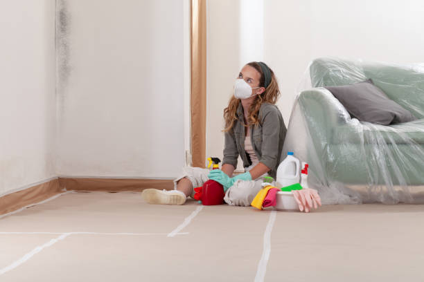 Reliable Mold Removal contractor in Springfield, MI by 24 Hour Mold Removal